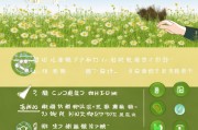 如何彻底关闭蒲公英内容，操作指南与注意事项，彻底关闭指南，操作步骤及注意事项解析