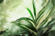 好，我现在需要帮用户写一篇关于评奖评优申请表怎么填的文章。首先，用户给了一个标题和基本的结构，我得先理解他们的需求。看起来用户可能需要一篇详细的指导文章，帮助他们填写评奖评优申请表