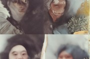 好，用户让我写一篇关于如何在工商银行申请信用卡的文章，标题已经给出，内容要不少于949个字。首先，我需要明确文章的结构，确保涵盖所有关键点