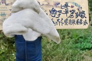 好，用户让我写一篇关于申请入职怎么说的文章，先写标题，再写内容，内容不少于905个字。首先，我需要理解用户的需求。看起来用户可能是在准备一份申请入职的文案，可能是求职者或者HR，需要一些指导