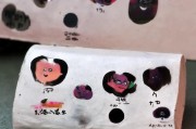 好，用户让我写一篇关于申请纳税人怎么写的文章，还给了标题和内容的要求。首先，我需要明确文章的结构和内容。标题已经确定是申请纳税人怎么写，接下来是正文部分