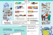 台湾口罩领取证书全攻略，从申请到领取的详细指南