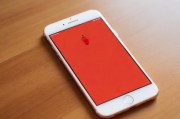 如何轻松关闭iPhone上的小红点，实用技巧大揭秘，轻松解除iPhone小红点困扰，独家实用技巧揭秘