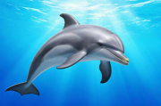 如何轻松关闭海豚屏幕旋转，海豚浏览器旋转功能的详细关闭指南，轻松关闭海豚浏览器屏幕旋转功能教程