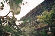 好，用户让我写一篇关于如何在村里申请入党文章，标题和内容都要写。首先，我需要确定文章的标题，要简洁明了，又能吸引人。考虑到内容是关于申请流程，标题可以定为如何在村里申请入党，流程与注意事项