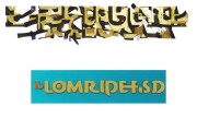 好，用户让我写一篇关于如何用手机创建LOL账号申请的文章，还给了标题和内容要求。首先，我需要明确文章的结构，确保内容全面且有条理