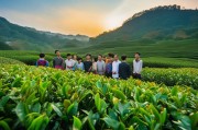好，用户让我写一篇关于浙江省版权怎么申请的文章，还给了一个示例标题和内容。首先，我需要理解用户的需求。他们可能是一个需要申请版权的人，可能对流程不太熟悉，所以需要详细的指导