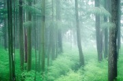 好，我现在需要帮用户写一篇关于北京公租房申请的文章。首先，用户给了一个标题北京公租房申请指南，如何轻松申请公租房，看起来挺正式的，但可能需要更吸引人一点。不过，用户已经提供了一个标题，我得按照这个来