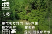 好，用户让我写一篇关于如何申请微信小号的文章，标题已经给出，内容要不少于862个字。首先，我需要理解用户的需求。他们可能是一个想在微信上创建小号的人，可能对流程不太熟悉，或者想了解一些小技巧