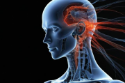 人为什么比人工智能聪明，从生物学到哲学的深度剖析，人类智慧之源，跨越生物学与哲学的智能探秘