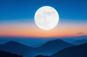 轻松关闭微信震动，告别打扰，享受宁静时刻，一键静享，轻松关闭微信震动，远离打扰
