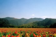 好，用户让我写一篇关于信用卡怎么申请附属卡的文章，先写标题，再写内容，内容不少于848个字。首先，我需要明确文章的结构和主要内容