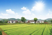 土地申请补贴—实现农村经济发展的重要途径，土地申请补贴对农村经济发展的推动作用