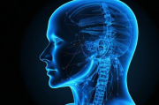 揭秘人工智能减肥原理，科技助力健康生活，科技赋能健康瘦身，人工智能减肥原理大揭秘