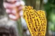 好，用户让我写一篇关于如何申请澳大利亚大学的文章，标题已经给出，内容要不少于866个字。首先，我需要明确文章的结构，确保涵盖所有关键点