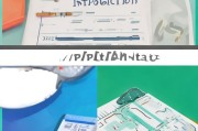 接下来，我需要确定文章的结构。通常，这样的文章会分为几个部分，比如介绍申请表格的重要性，然后分步骤指导填写，最后给出一些注意事项。这样可以让读者一步步跟着学习，不会感到混乱