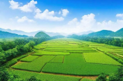 退耕还林补贴申请攻略，退耕还林补贴申领指南，步骤详细解读