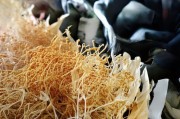 好，用户让我写一篇关于如何申请成为吧主的文章，标题已经给出，内容要不少于908个字。首先，我需要明确用户的需求，他们可能是一个刚开始接触贴吧的新手，想要了解成为吧主的流程和注意事项