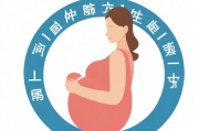 上海生育金申请补贴，如何成功获得补助，上海生育金申请补贴流程与成功率指南