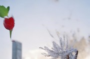 好，用户让我写一篇关于三亚怎么申请车牌的文章，首先得确定标题。标题要简洁明了，能吸引读者，所以三亚车牌申请指南，办理流程与所需材料听起来不错