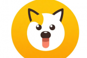 电脑QQ如何轻松关闭宠物功能，还你清爽聊天界面，轻松关闭电脑QQ宠物功能，还原清爽聊天界面