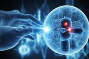 人工智能助力眼科检查，揭秘人工智能眼科检查所涉及的领域与内容，人工智能赋能眼科检查，探索技术领域与内容解析