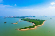 崇明岛补贴申请条件详解，崇明岛补贴政策概述及申请流程详解