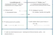 Puk码关闭方法详解，轻松解决解锁难题，轻松解锁难题，Puk码关闭方法全面解析