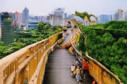 接下来，我要考虑文章的结构。通常，申请版权需要了解申请流程、所需材料、所需费用以及注意事项。所以，我应该分步骤来介绍这些内容。标题要吸引人，同时明确主题，比如音乐作品版权申请指南，合法保护你的音乐