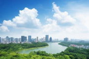 广东省求职补贴申领指南，新手必读的步骤与技巧，广东省求职补贴申领指南，新手必备操作步骤和技巧