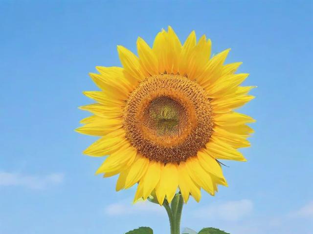 轻松关闭抖音点赞提醒，告别烦恼，享受纯净观影体验