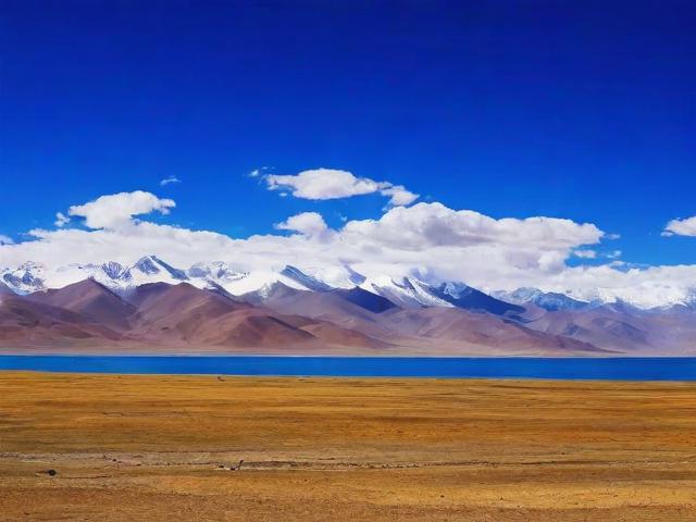 阿里小号免费领取攻略，轻松获取你的专属小号